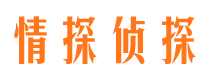 双桥区市侦探调查公司